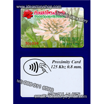 พิมพ์บัตร Pvc  RFID พิมพ์บัตรพร็อกซิมิตี้การ์ด 125 khz